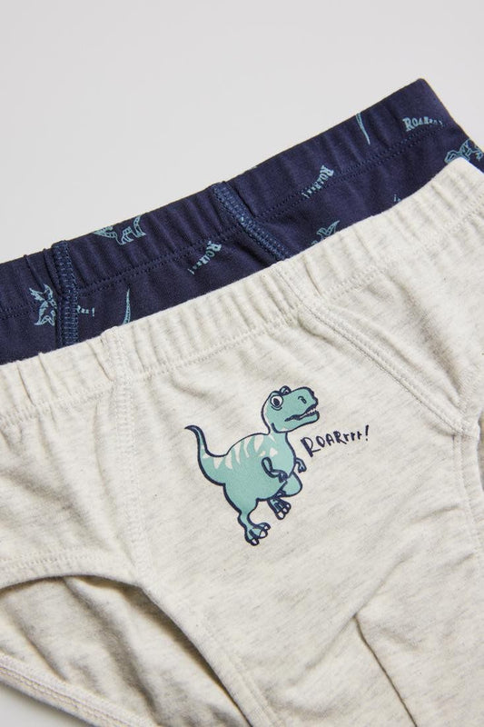 PACK-2 SLIPS INFANTIL NIÑO RUGIDO DE DINOSAURIOS