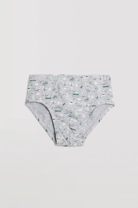 PACK-2 SLIPS INFANTIL NIÑO DINOSAURIOS