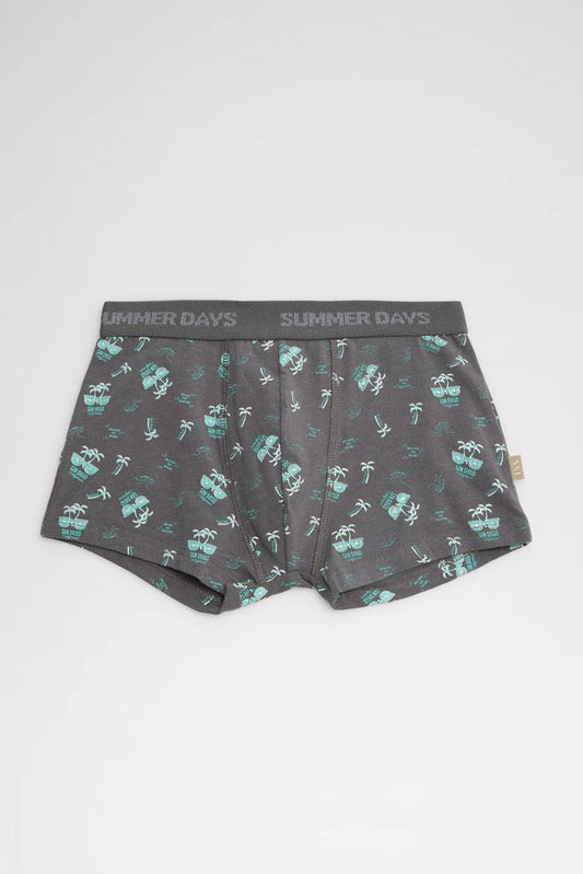 PACK-2 BOXERS ADOLESCENTE SUMMER DAYS