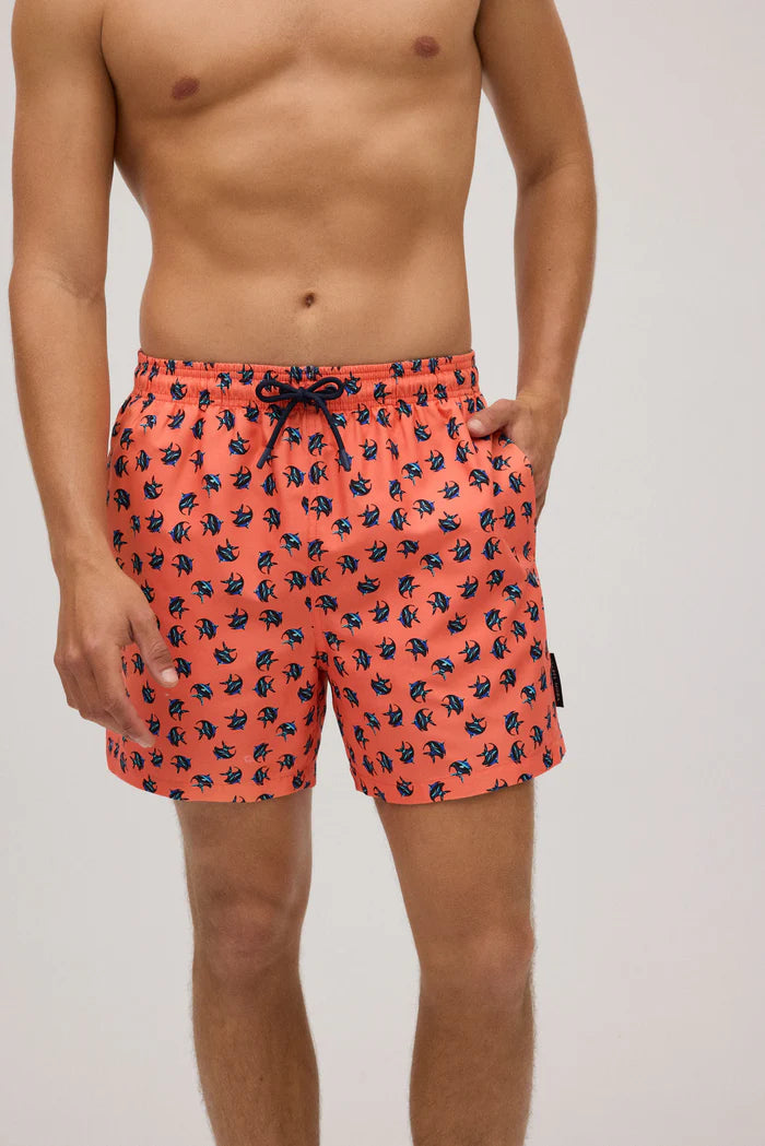 BAÑADOR MEDIO ESTAMPADO PECES CORAL