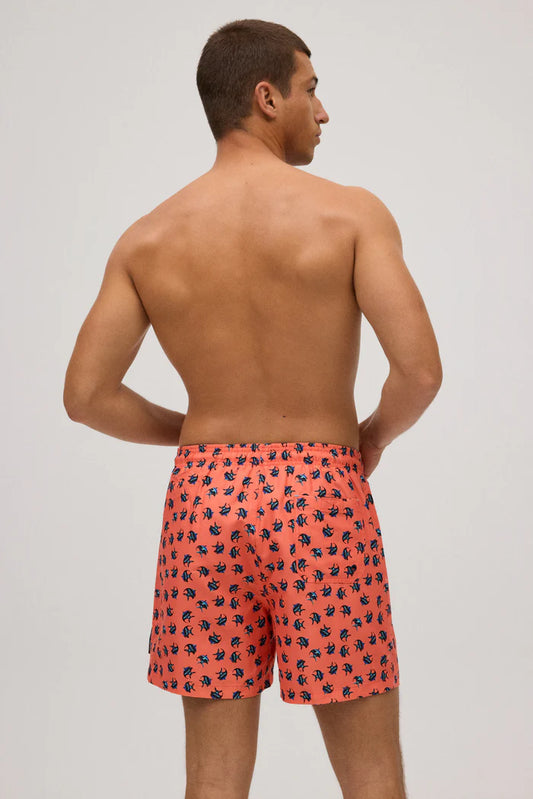 BAÑADOR MEDIO ESTAMPADO PECES CORAL