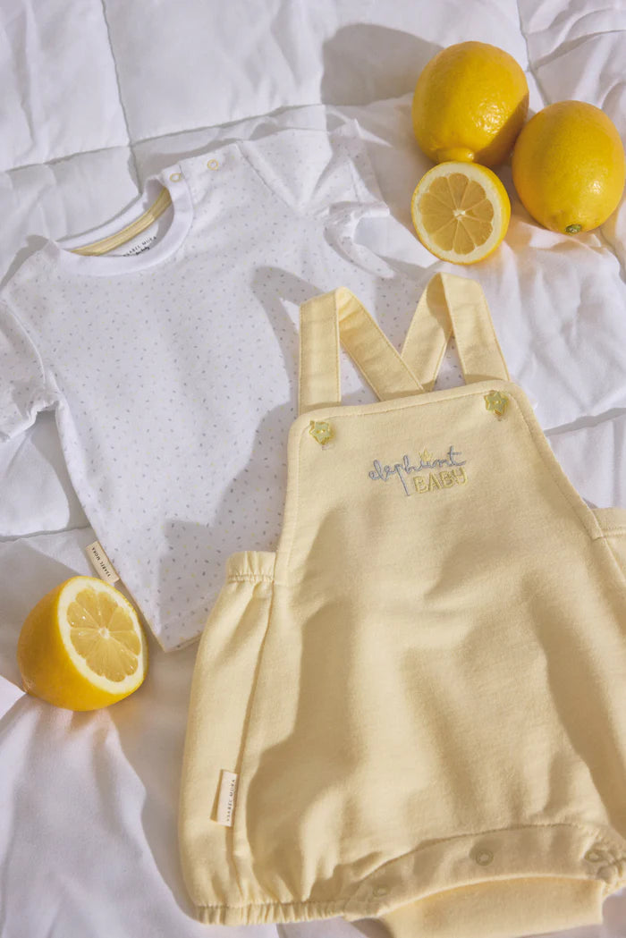 CONJUNTO DE VERANO DE BEBÉ ELEPHANT
