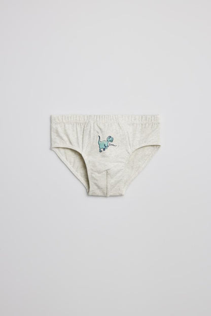 PACK-2 SLIPS INFANTIL NIÑO RUGIDO DE DINOSAURIOS