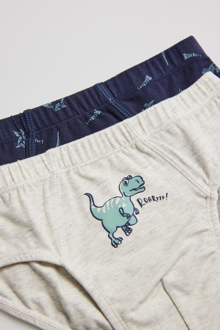 PACK-2 SLIPS INFANTIL NIÑO RUGIDO DE DINOSAURIOS