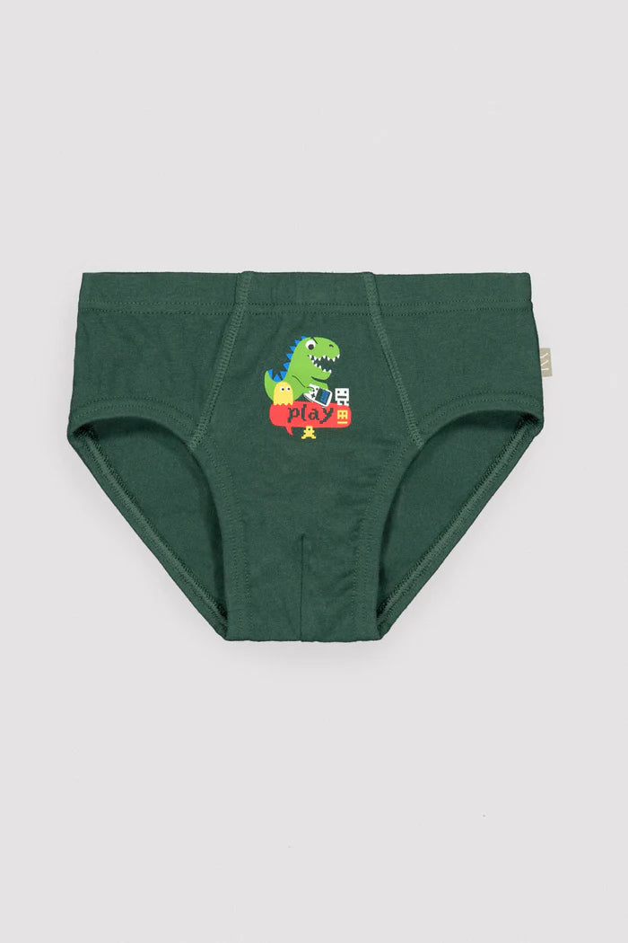 PACK-2 SLIPS INFANTIL DINOPLAY