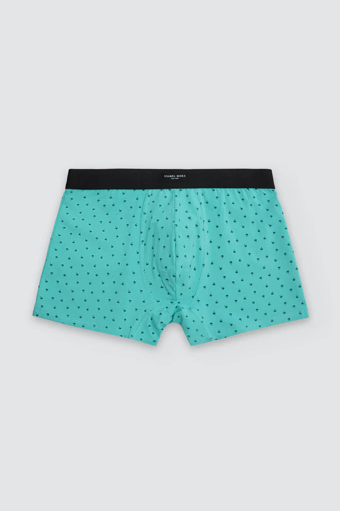 PACK-2 BOXERS SHORT MIDI CARS PARADISE