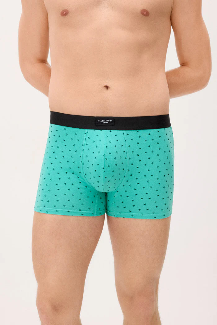 PACK-2 BOXERS SHORT MIDI CARS PARADISE