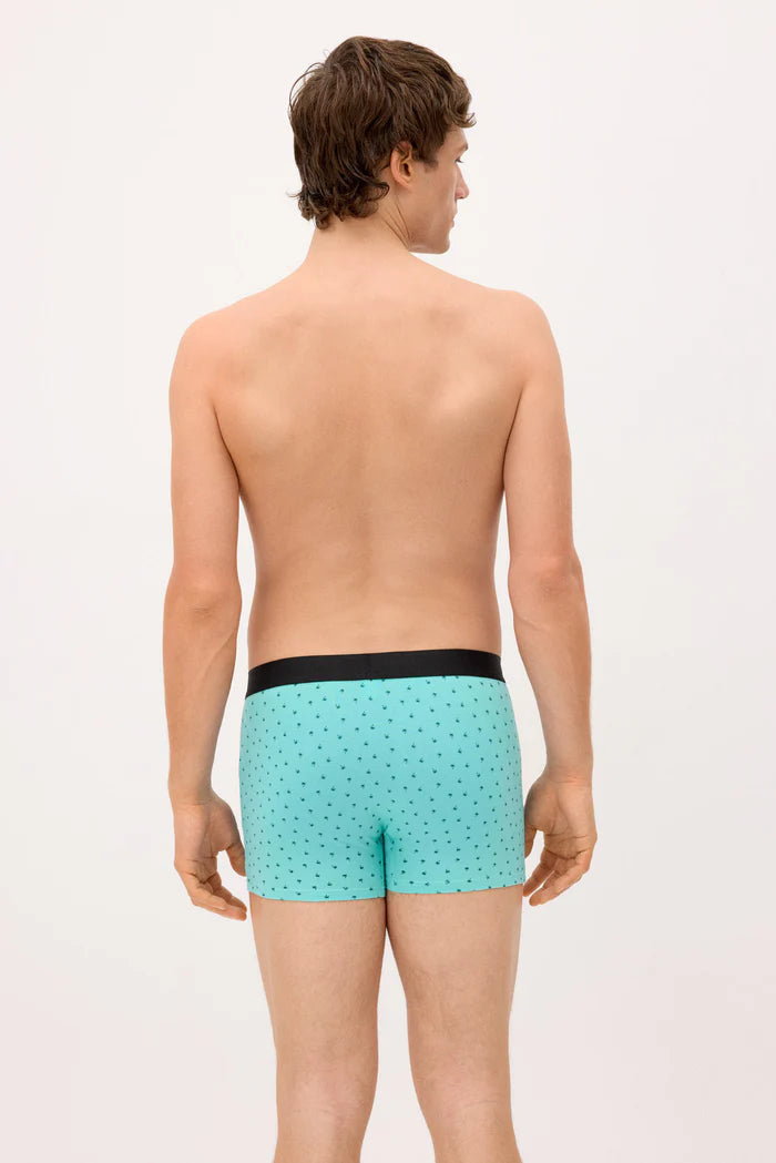PACK-2 BOXERS SHORT MIDI CARS PARADISE