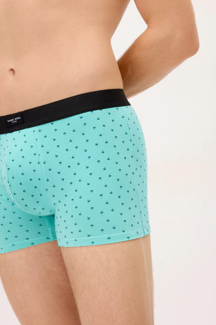 PACK-2 BOXERS SHORT MIDI CARS PARADISE