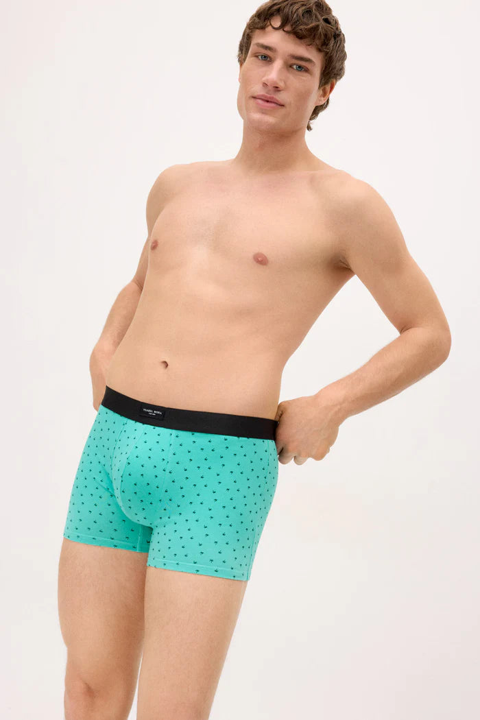 PACK-2 BOXERS SHORT MIDI CARS PARADISE