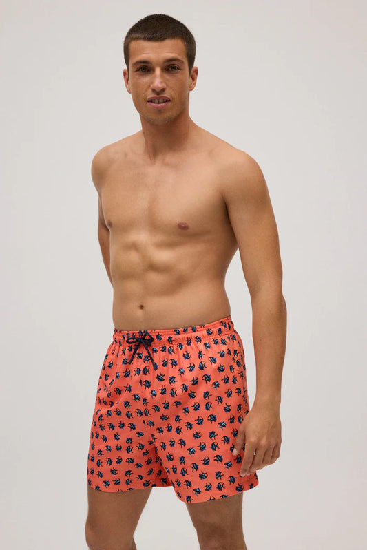 BAÑADOR MEDIO ESTAMPADO PECES CORAL
