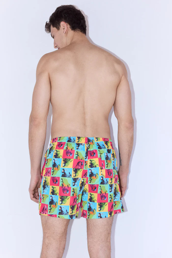 BAÑADOR LOROS SOCKARRATS