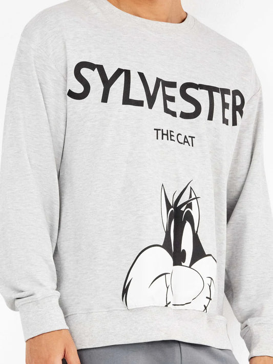 PIJAMA MANGA LARGA HOMBRE INTERLOCK SYLVESTER